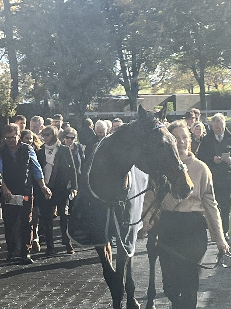 JYdlibi's tweet photo. Fourth runner today is Wetsand who runs in the 18.45pm @ThirskRaces 

She showed some improvement last time out and if she runs well today might go for the Sandringham @Ascot 🤞 https://t.co/r1BoAjohls