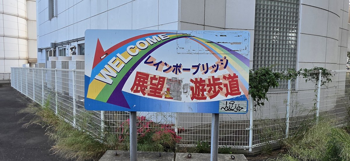 utsuho0203's tweet photo. 今日は恵比寿からおだいばビーチまで歩きました。
疲れました。
海では海月が沢山亡くなっていました。 https://t.co/PB56eYl46o