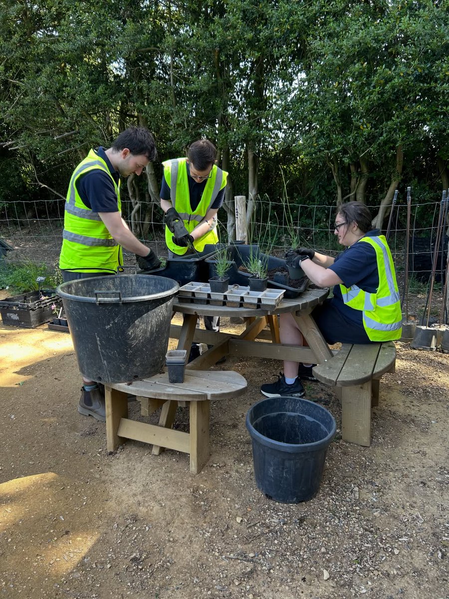 MEmployAble's tweet photo. What a fantastic day we had at The Serge Hill Project last week! 🌱✨

We had so much fun learning horticultural skills from Phil, with the interns picking up plenty of invaluable knowledge along the way 😊

It’s always a joy to visit! 🧡 @sunnyside_news https://t.co/lCs3XrwJyy
