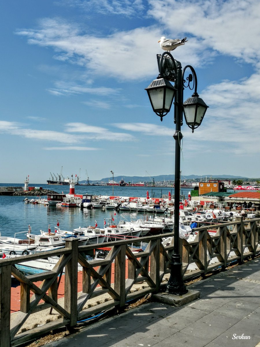 tekirdagsehri's tweet photo. Tekirdağ Sahil
Süleymanpaşa, Tekirdağ
31.05.2026
#süleymanpaşa #suleymanpasa
#tekirdağ #tekirdag #süleymanpaşatekirdağ
#trakya #marmara
#rodosto #bisanthe #tekirdağfotoğrafları #tekirdağ59 #tekirdağsahili #tekirdağsahil #turkey #türkiye #turkiye🇹🇷 #türkiyem https://t.co/JmF2ackUJ5