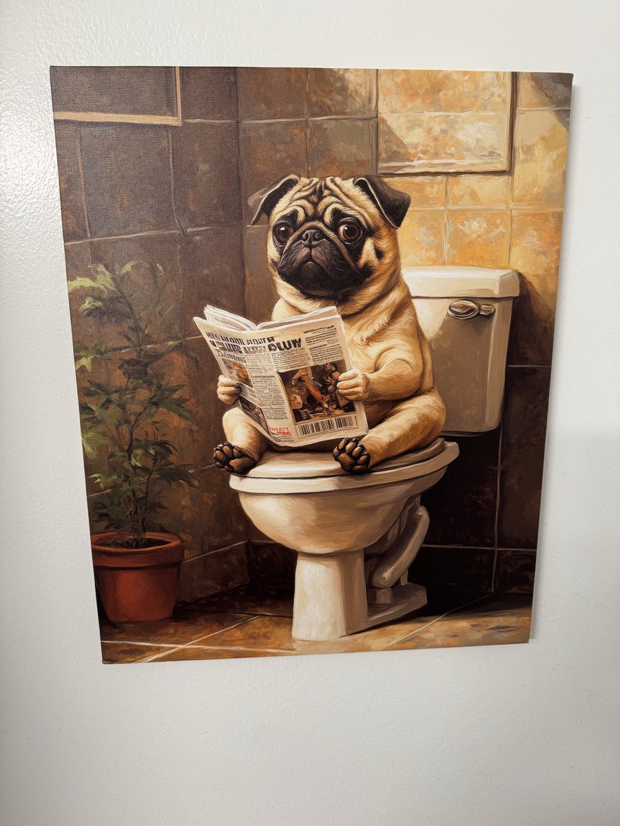 WALTERoooo's tweet photo. @PugownedS So here’s the new bathroom picture 🤣🤣 https://t.co/shWGpqrChm