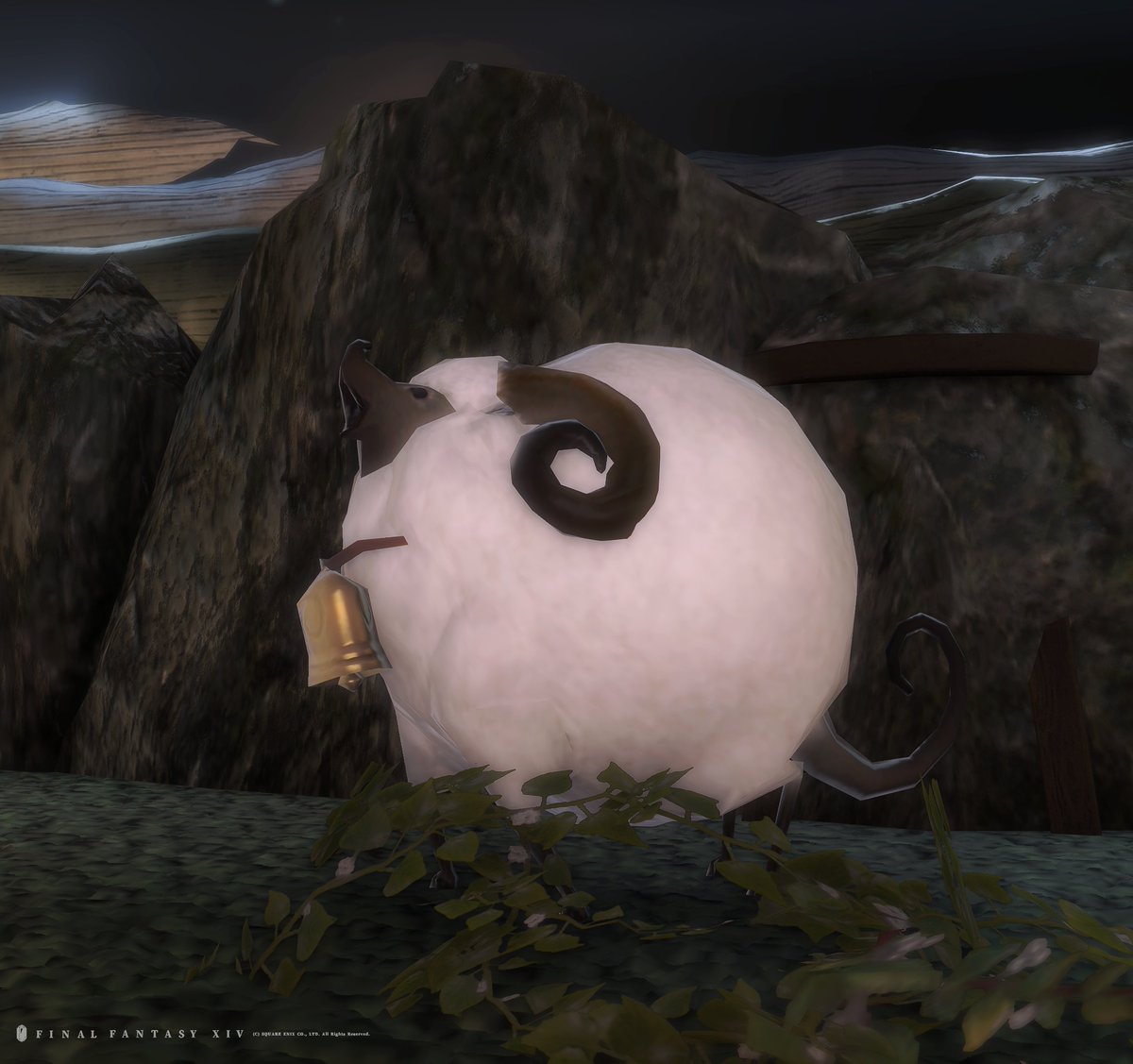 ff14_Elle's tweet photo. 🐑🐑🐑
#jijigazim https://t.co/ZSZ5BceNFw
