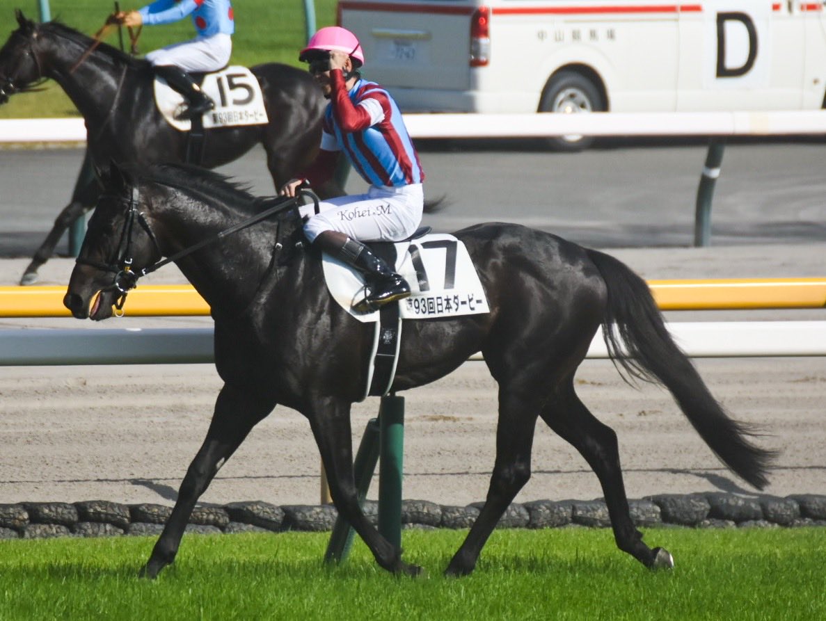 3Tn38's tweet photo. 日本ダービー
ロブチェン
松山弘平騎手🏇

#競馬写真
#日本ダービー
#ロブチェン
#松山弘平騎手 https://t.co/Wfug60A5de