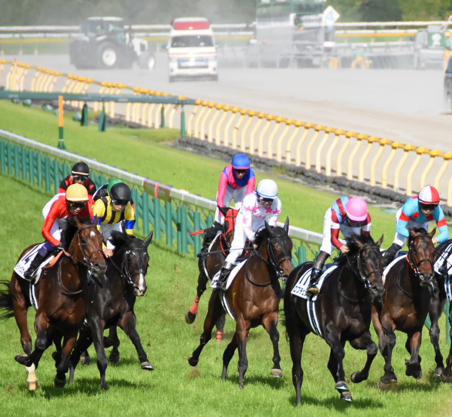 3Tn38's tweet photo. 日本ダービー
ロブチェン
松山弘平騎手🏇

#競馬写真
#日本ダービー
#ロブチェン
#松山弘平騎手 https://t.co/Wfug60A5de