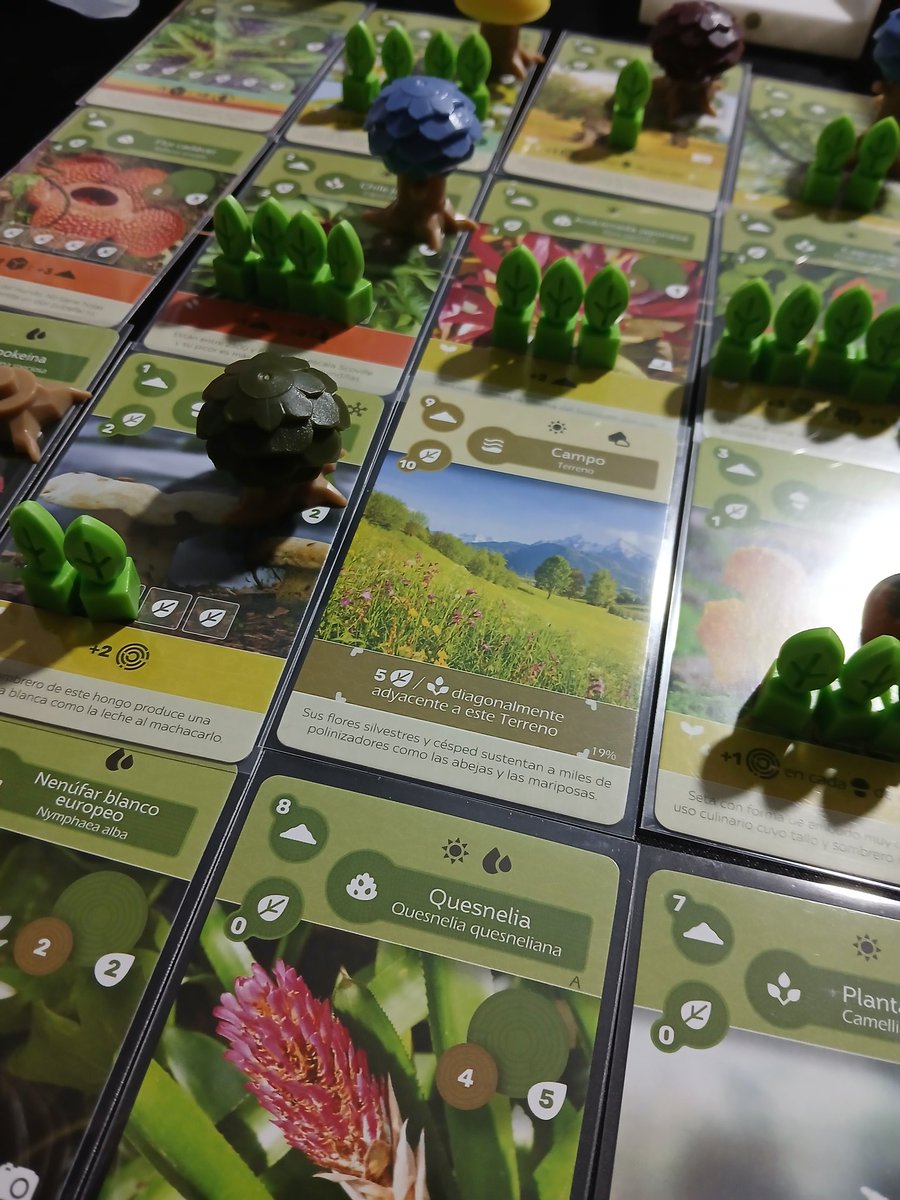 Kecos89's tweet photo. Hacía mucho de la última partida al Earth. Me encanta, pero no lo vuelvo a jugar a 5 jamás de los jamases 😅 https://t.co/z558Ucib9z