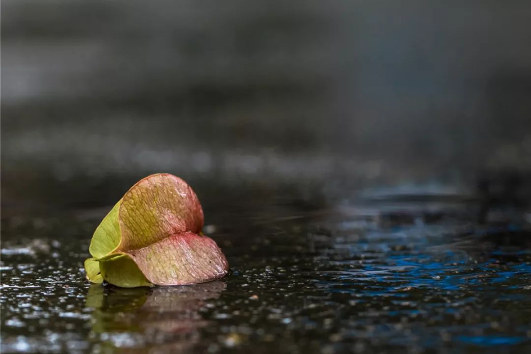 Cynthia2628's tweet photo. A stranger held the door for me in the rain, gave me a warm smile and a tissue—small act, but made my whole day brighter. https://t.co/FczbzZisk4