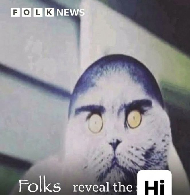 ttn²⁴🔻Folk Valley tweet media