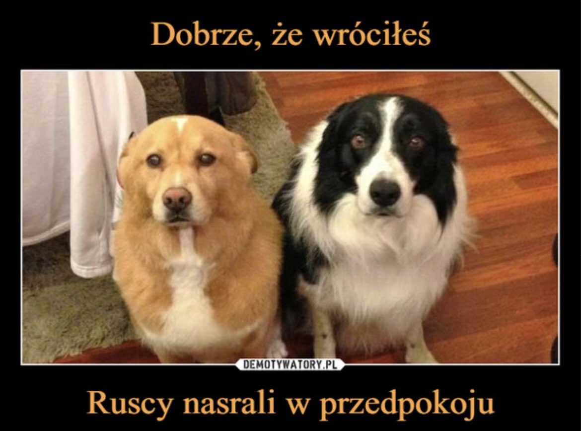 MaleoM3's tweet photo. @wsamraz Może warto mieć refleksję, że bliższe zwykłemu człowiekowi i bardziej namacalne problemy generują nasi sąsiedzi niż russkie, którymi straszenie robi się wręcz memiczne. https://t.co/qqj39vH1NB