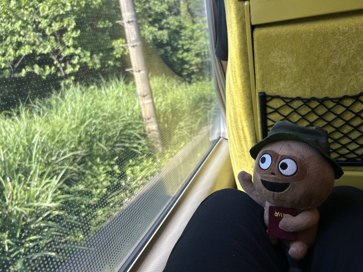 Xg8Cq's tweet photo. @BBkiyHopYLzU23k (偽)野生のたぬぅは列車で移動したりもします🤭笑 https://t.co/fJGooBkSJ1