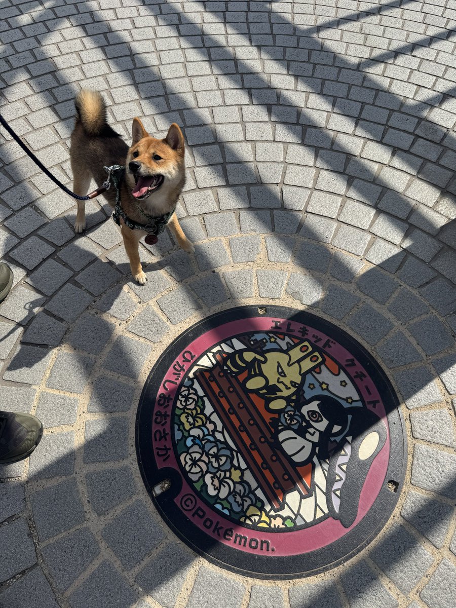 なんか嬉しそうやね