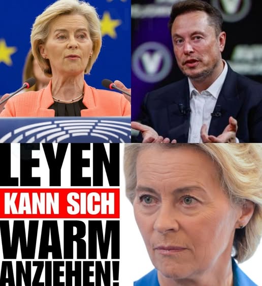 Echte Demokratie tweet media