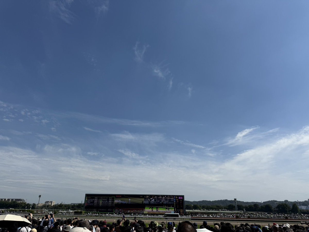 前走不利を狙うイルカ🐬競馬ブログ tweet media
