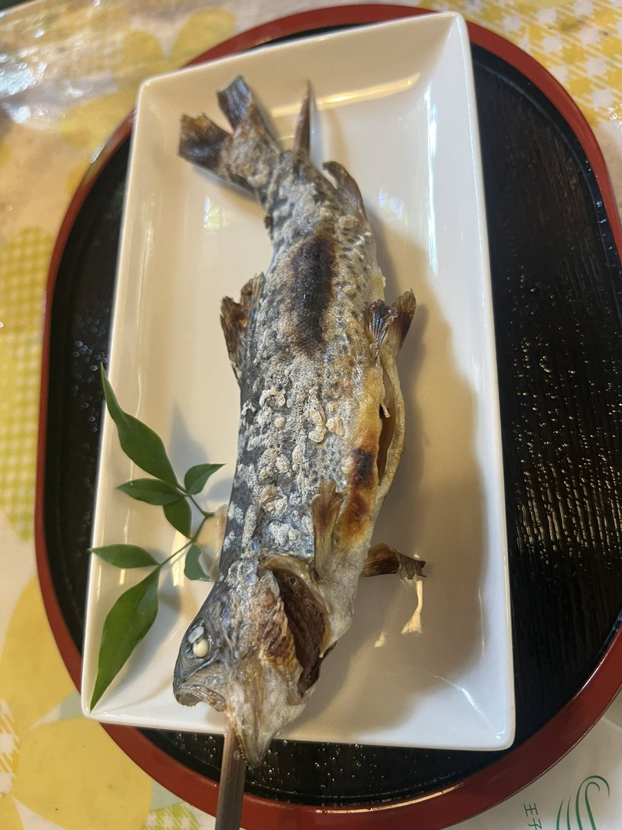 Cozy19692's tweet photo. 今日は快晴‼️
おやすみいただいて朝6:00に起きて流しそうめんいく予定でしたが、　家族は起こしても起きず...9:30に起き出して、出発が11:00になりましたwww 当然駐車場にも入れず、大遅刻になったのですが、お店の好意で優先的に席を回してくれました♪人生初の流しそうめん　美味しかった^_^ 衛生面もバッチリ👌
帰り、一宮JCTから全く動かずツイートしてます...
#流しそうめん
#一宮JCT大渋滞