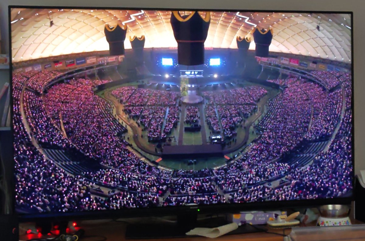 ポメラブ(*´³`*) ㄘゅ💕 tweet media