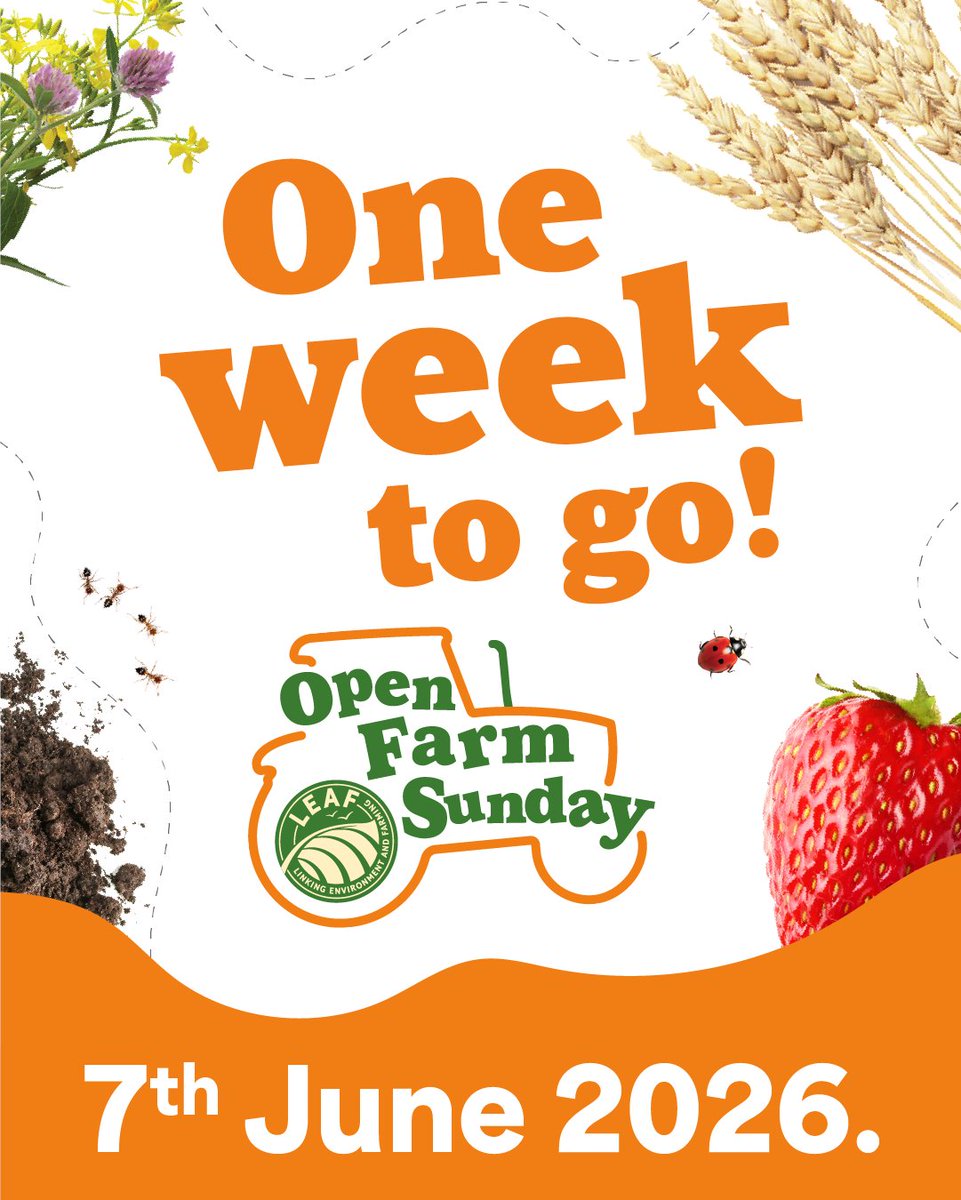 OpenFarmSunday's tweet photo. One week to go! 
This time next Sunday, farms across the UK will open their gates for Open Farm Sunday’s 20th anniversary.
Meet farmers, discover where your food comes from and learn how farming works with nature.
Plan your visit and enjoy a great day outdoors.
#OFS26 https://t.co/PxYnziKOae