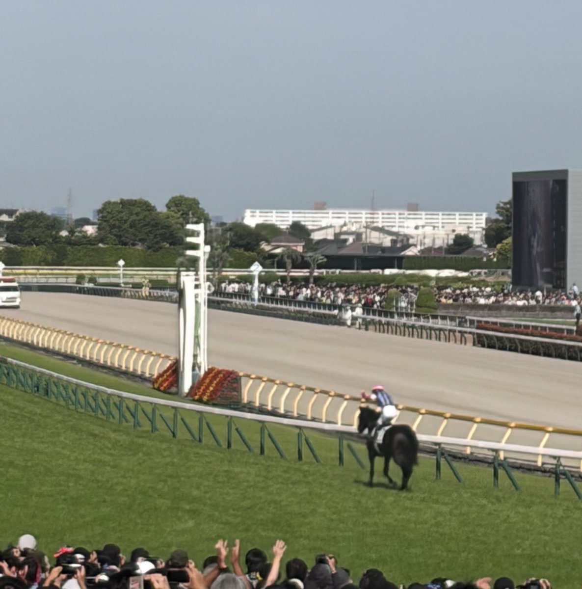 ffbe1229kan's tweet photo. ロブチェン、松山おめでとう🎉
ついにダービージョッキーかあ🏇
感動した🥹 https://t.co/mlmPnIrZsj