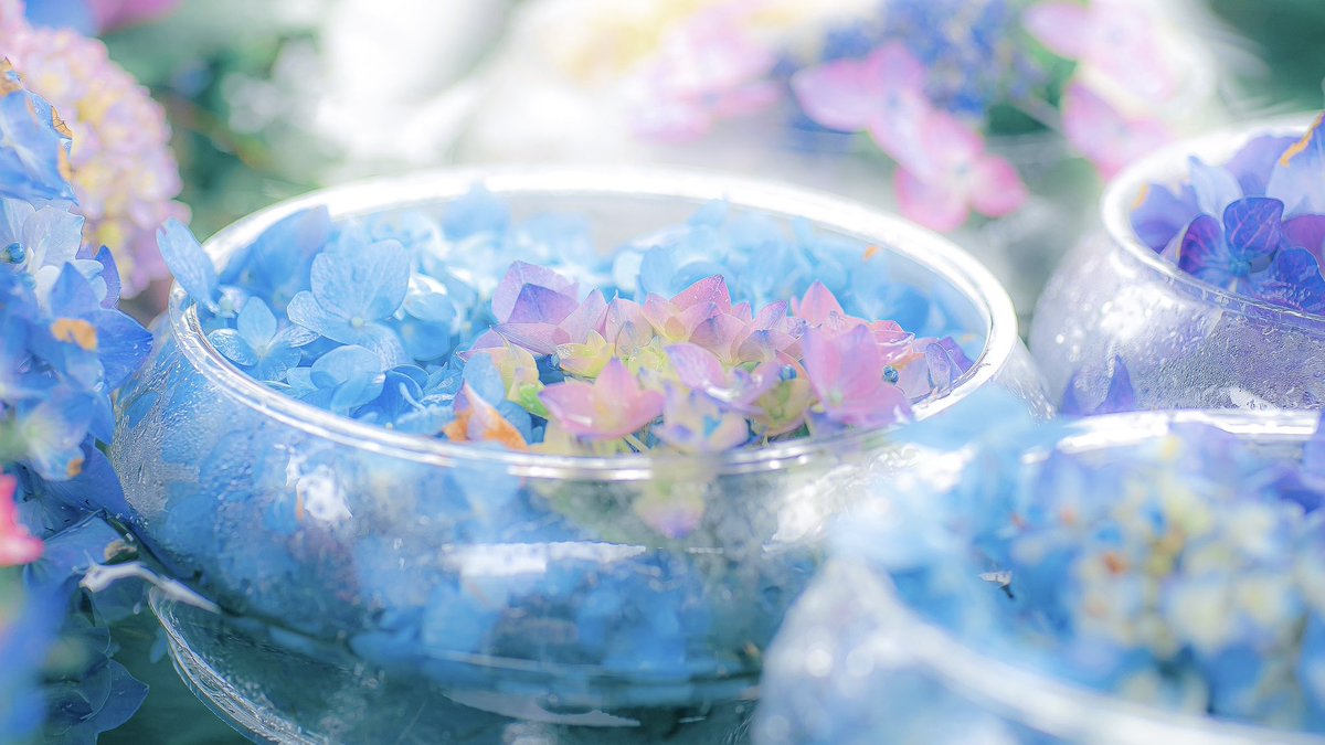 noco3n_com's tweet photo. 眺めるだけで心を癒やしてくれる花手水 https://t.co/Ha36MxU5a2