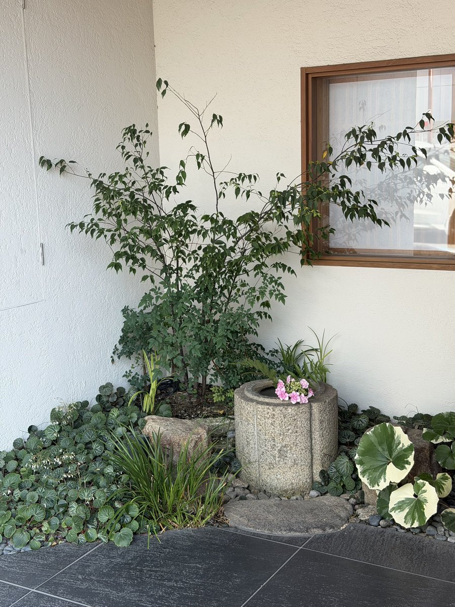 micarose___47's tweet photo. 美しかった🪟🌿♩⟡ https://t.co/Gu14WE20qh