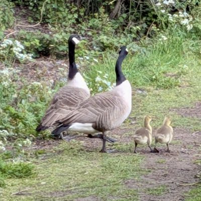 KathVincent4's tweet photo. #NewProfilePic https://t.co/rmZwOgJK66
