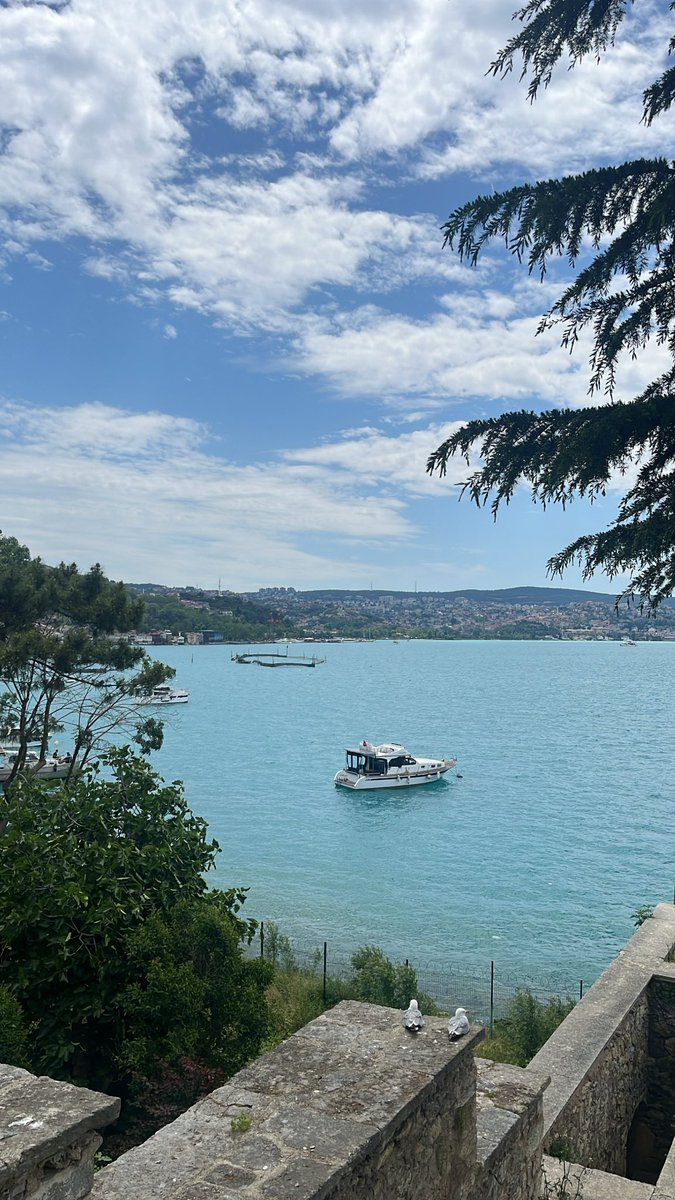 betulkocalii's tweet photo. Mecidiye Kasrı, bayramın 5. günü, 2026…
#İstanbul 🌿 https://t.co/zLx4R8oYM6