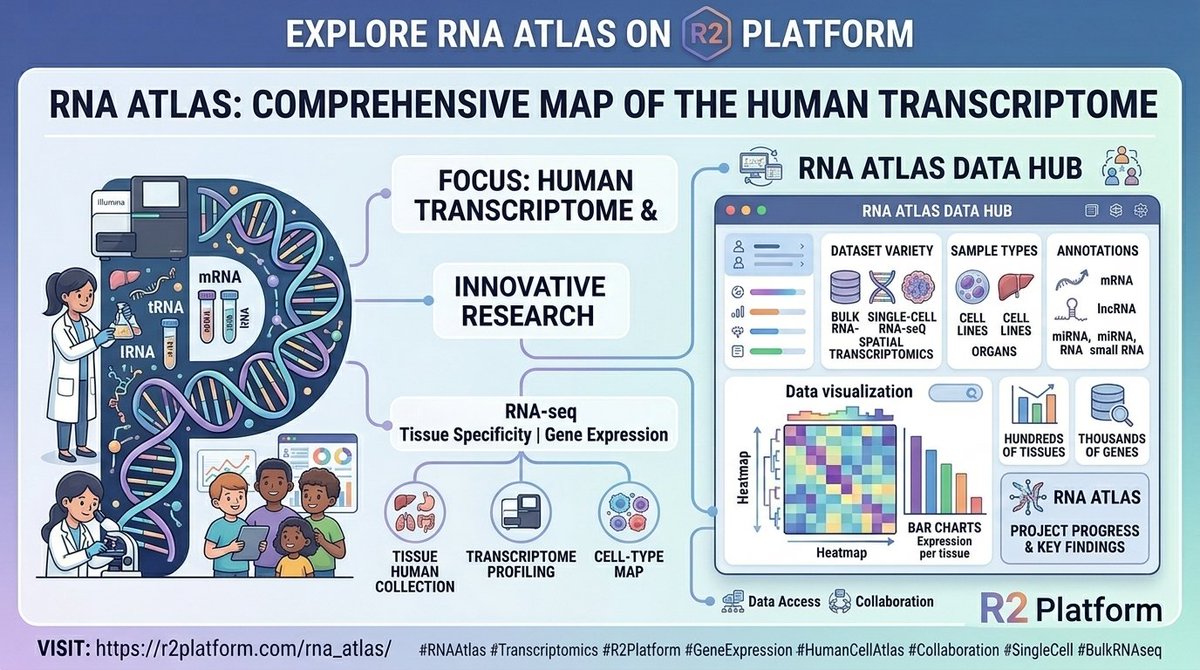 r2_microarray's tweet photo. Map the human transcriptome! 🗺️🧬

Explore the RNA Atlas on the R2 Platform to analyze tissue-specific expression, functional RNA annotations, and comprehensive transcriptome profiling

Start exploring https://t.co/WEwf4cCsZ3
#RNAAtlas #Transcriptomics #R2Platform #Bioinformatics https://t.co/s8mpQUbXB0