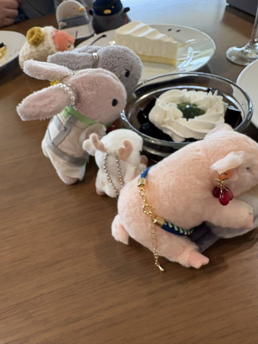 伊莉奈 tweet media