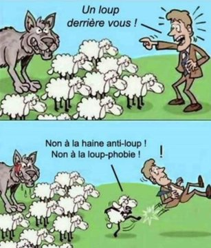 Romain tweet media