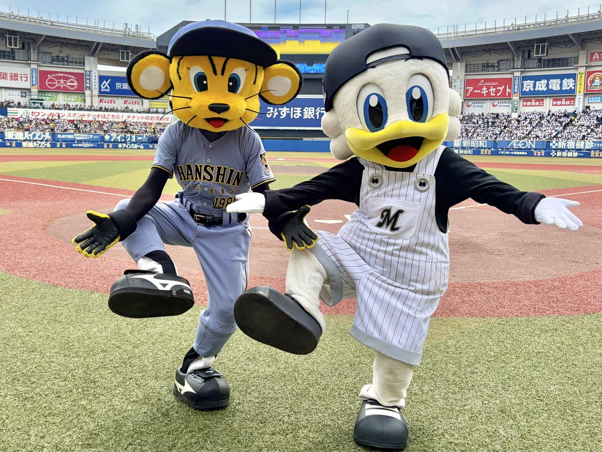 マーくん(千葉ロッテマリーンズ) tweet media