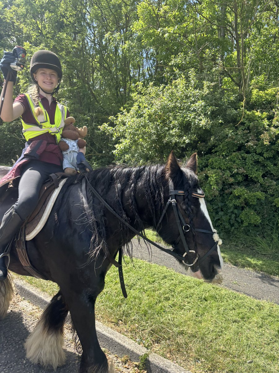 waddells74's tweet photo. #Flingcars 🚙 STOP !! ✋ #litter along the roadsides 🛣️ is Dangerous ⚠️ Accidents could happen !! Think 🤔 it takes 2minutes to #Binit 🗑️ 😀 🐴 protecting 👧 🚙 🚐 🚌 🚛 🏍️ everyone safety guys xx https://t.co/2sAJbsEg3s