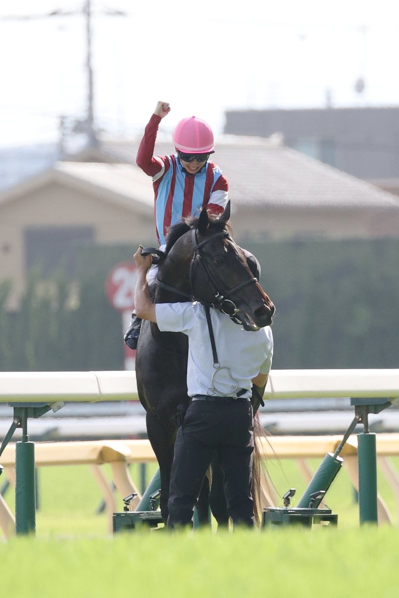 JRA-VAN公式 tweet media