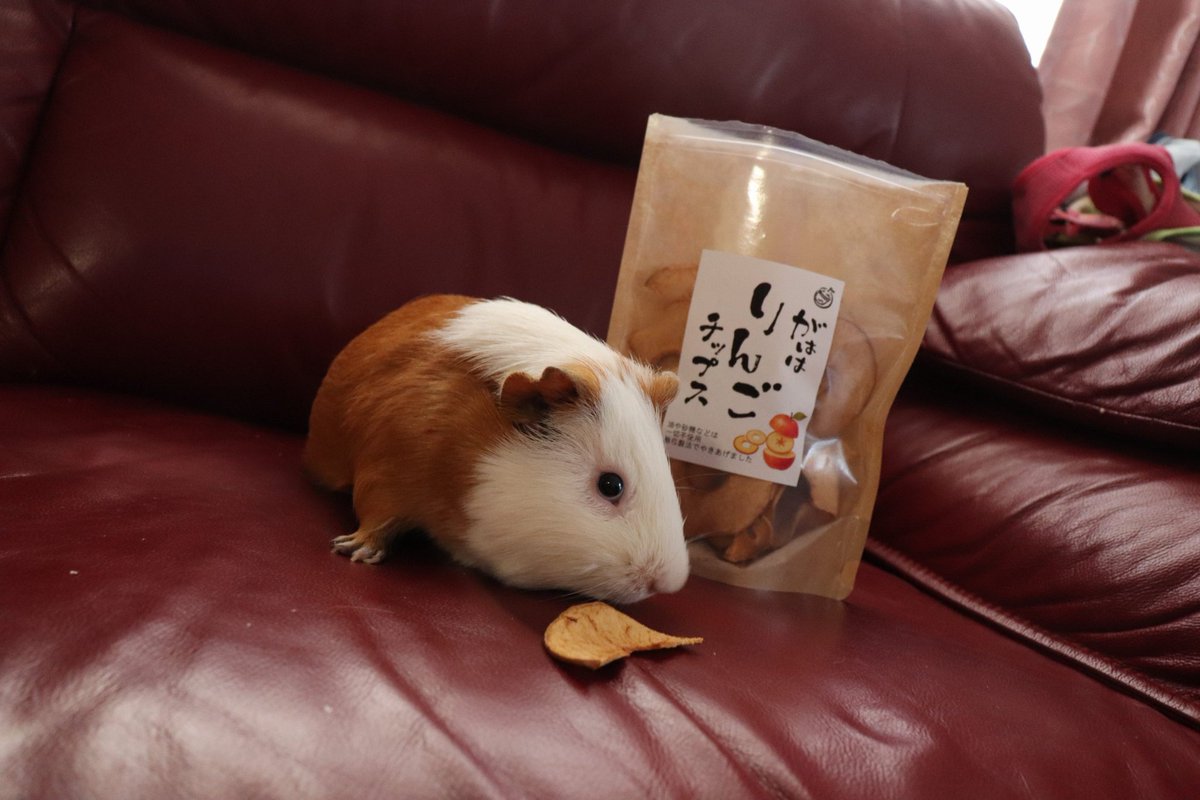 【りんごちっぷ】他の方購入禁止！！ 何度か別メーカーのりんごチップスをプレゼントしましたが全スルーだっ