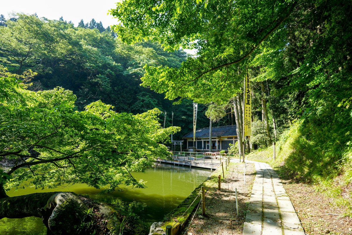 t_okuno's tweet photo. 本日の善寳寺（山形県鶴岡市）。 https://t.co/rFcEGb9Gmn
