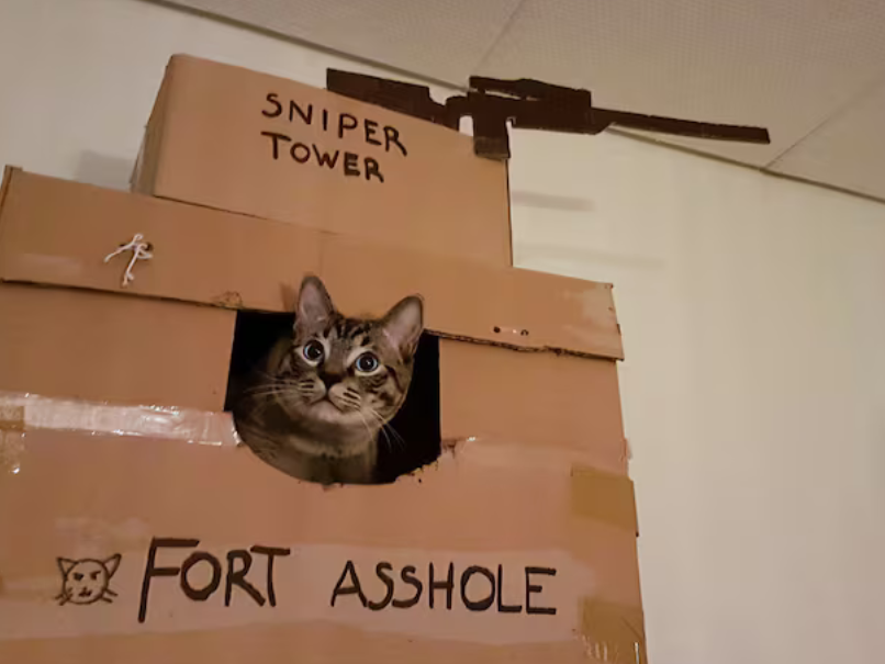 StardeusGame's tweet photo. @Cats_ooc A worthy opponent https://t.co/Q9Uvdv5qV3