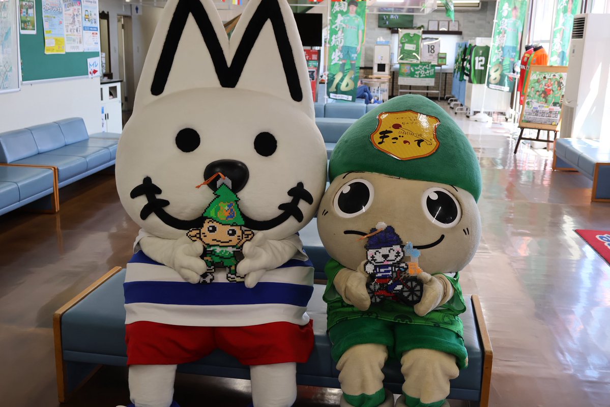 ヴァンラーレ八戸【公式】🦑 tweet media