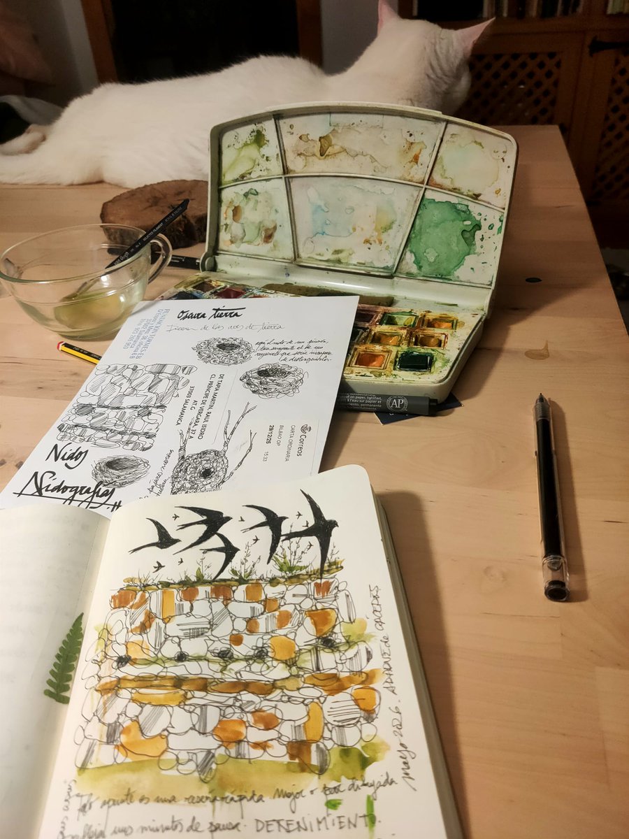 BosqueHabitado's tweet photo. .@radio3_rne "De mis pensamientos me saca 1 bando d 10 ó 12 vencejos mientras vuelan en carrusel. Van y vienen de forma intermitente. Las acrobacias d las alas son inconcebibles.
De "Los vencejos del mechinal". #CuadernoDeNidos de @alcanduerca
HT: #ChozonesSabinerosRadio3 https://t.co/EsX473Tza2