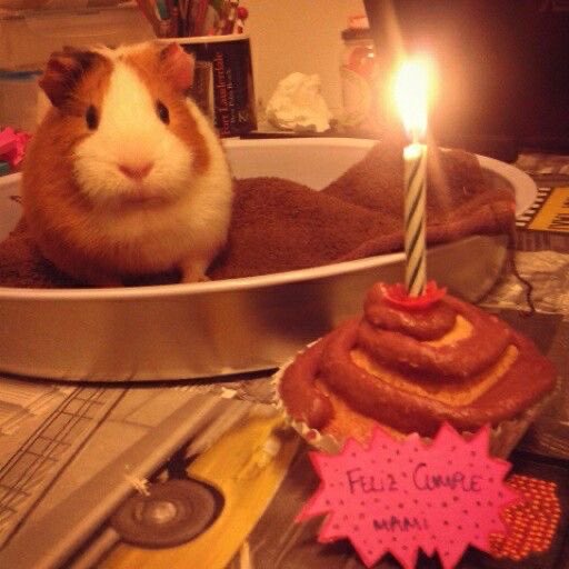 chunizzi's tweet photo. 영재야 생일축하해 꾸이찌 https://t.co/VSBgHLgmwA