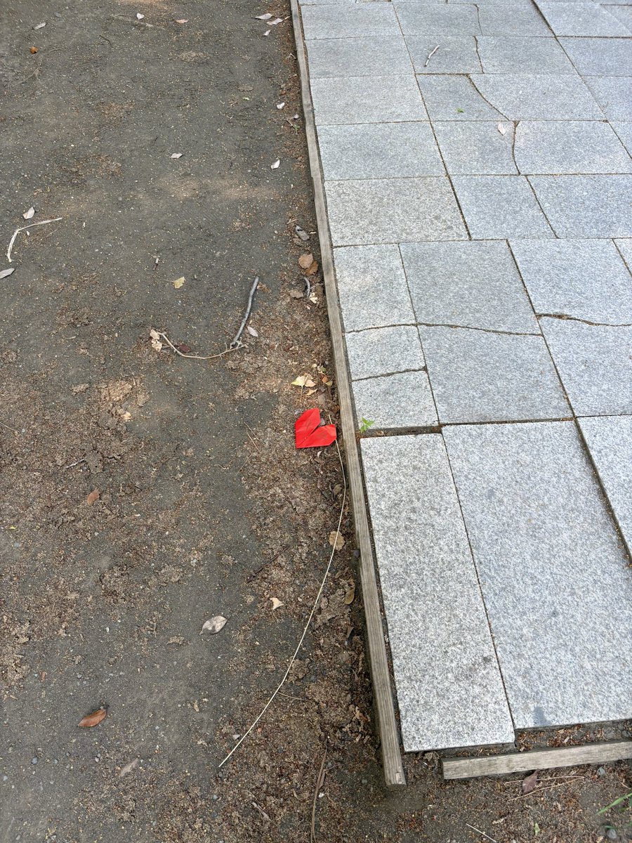 はまち tweet media