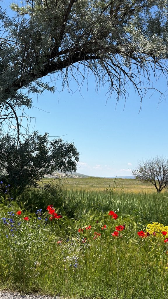 uranus_hani's tweet photo. نصيحة لكل شاب و شابة
إذا صادفت انسان
غطاه الشيب 
وبلغ من العمر عتيا
🌻اسالوه هالسؤال
وش تنصحني فيه
من تجربتك
في الحياة؟
وخذ جوابه على محمل الجد
فجوابه كنز راح يفيدك
اكثر من آلاف دورات
تنمية الذات
منذ اكثر من ٢٥ عام
وهذا ديدني معهم
فالحياة تجربة تعاش
و ليست منهج يدرس
#اورانوس_هاني https://t.co/13RMM5KGDe