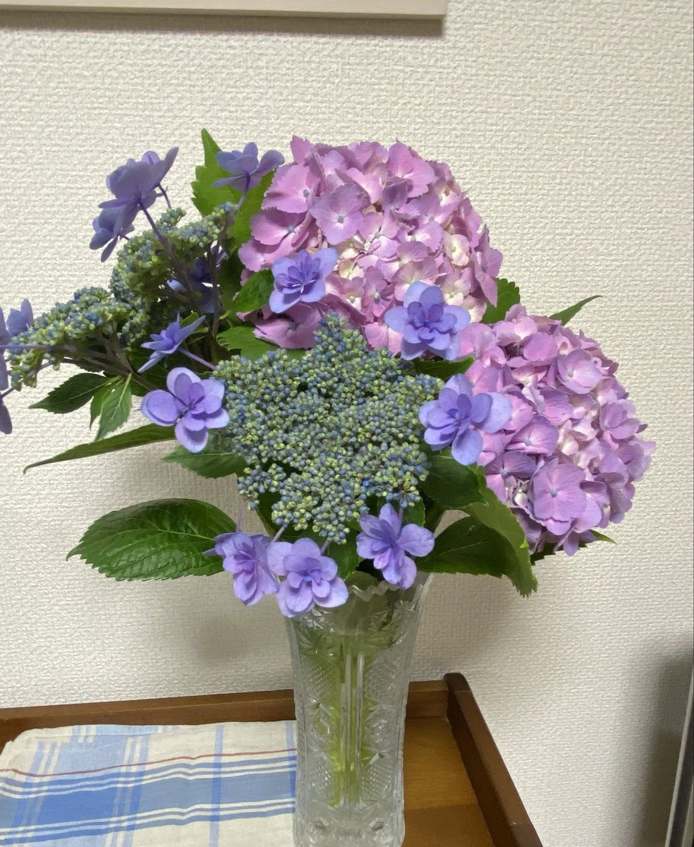 yamamitt's tweet photo. ようこそ、わが家へ
紫陽花の花輝いて✨
ただ、今咲く🙏 https://t.co/yhg8TEcDmb