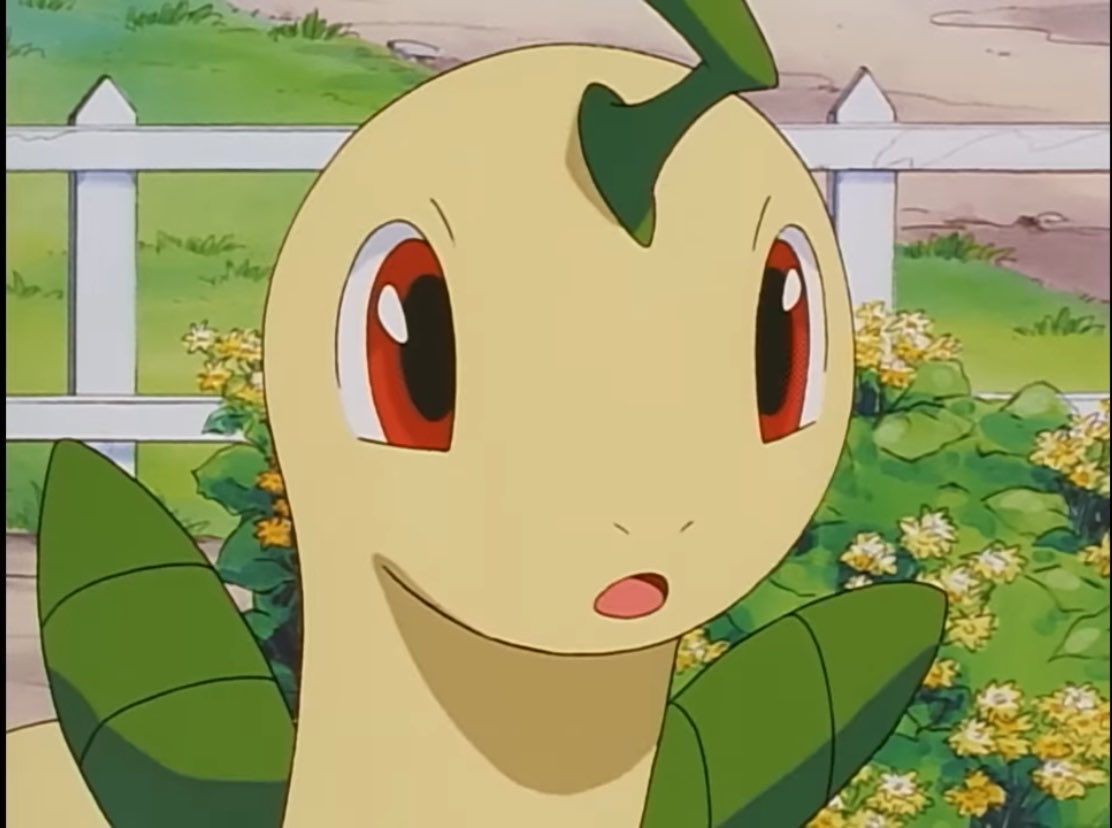 pokemonjewels's tweet photo. she’s grumpy https://t.co/Pnf3dI284P