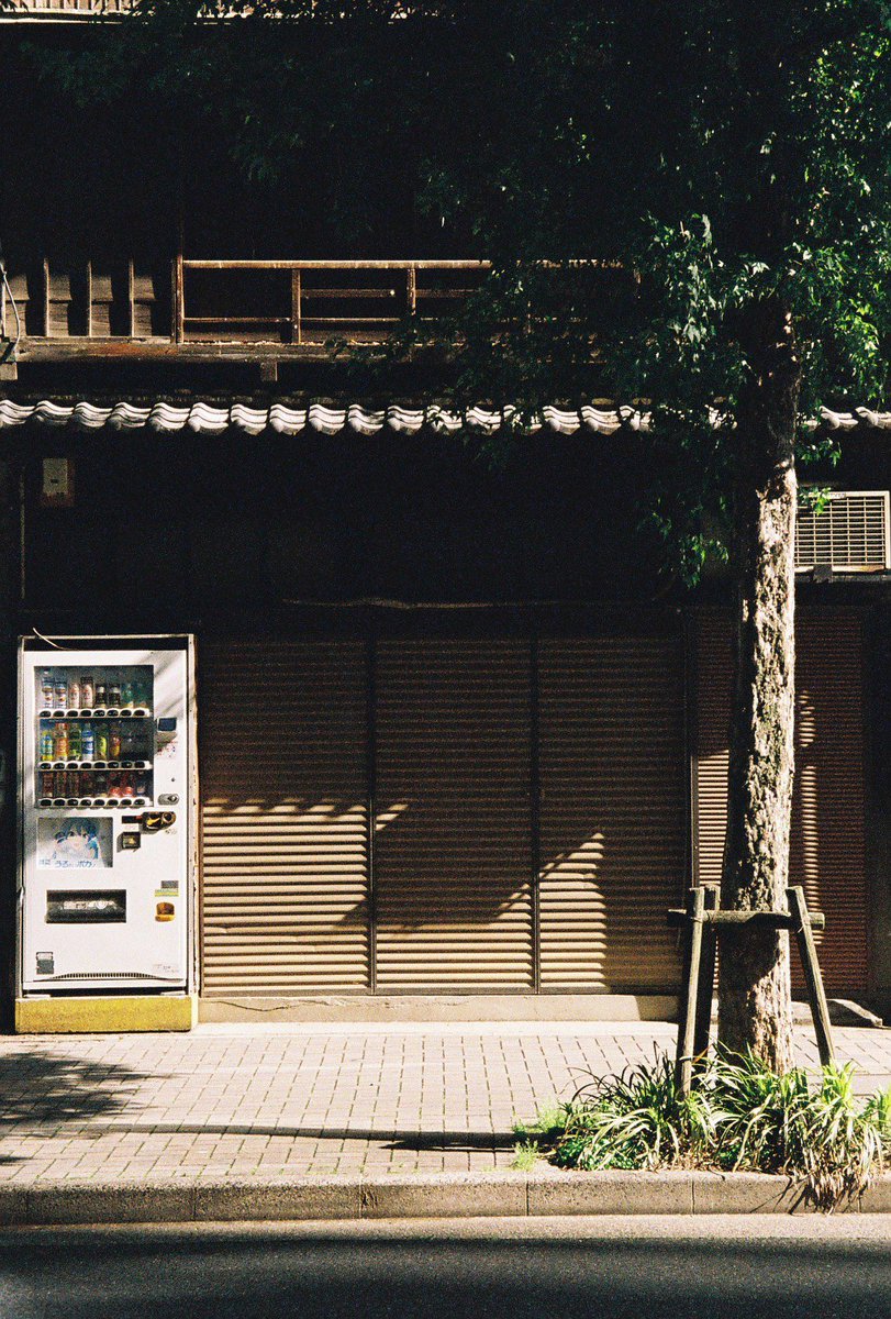 yoyo_com_'s tweet photo. Nagoya, Aichi.
#PENF #フィルム写真 #ハーフカメラ #filmphotography #halfframe https://t.co/kbQzgxYY7o