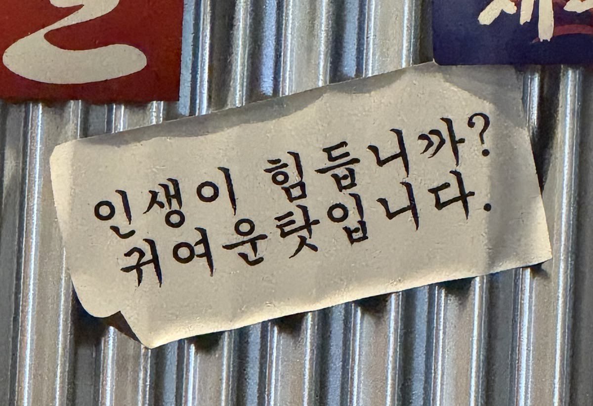 응애 tweet media