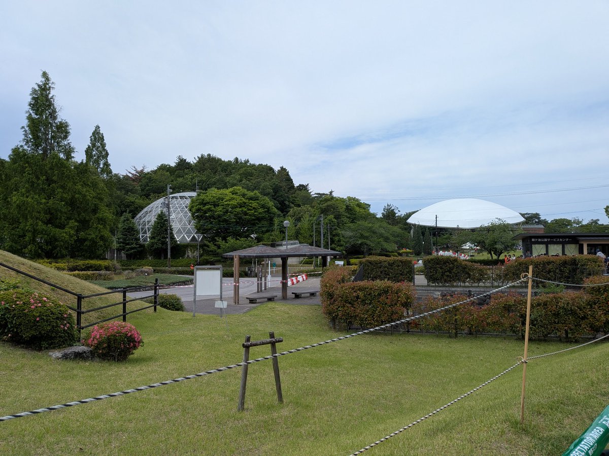 undercut_01's tweet photo. 今日は子供達を連れて鞍ヶ池SSS行ってました。
自分が子供の頃からお世話になっていたこの公園で、WRCが観れるなんて感慨深いものがありました。 https://t.co/AMKjSJSOIp
