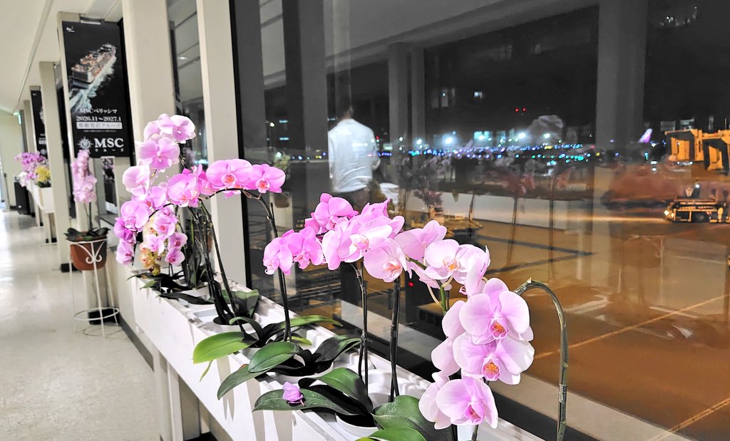 marujasmine's tweet photo. そして沖縄から即日帰る！

ホントは明日帰る予定でしたが全便欠航になったので前倒し。
ひとまず無事に飛んでくれて安堵 https://t.co/BhY77IUctB