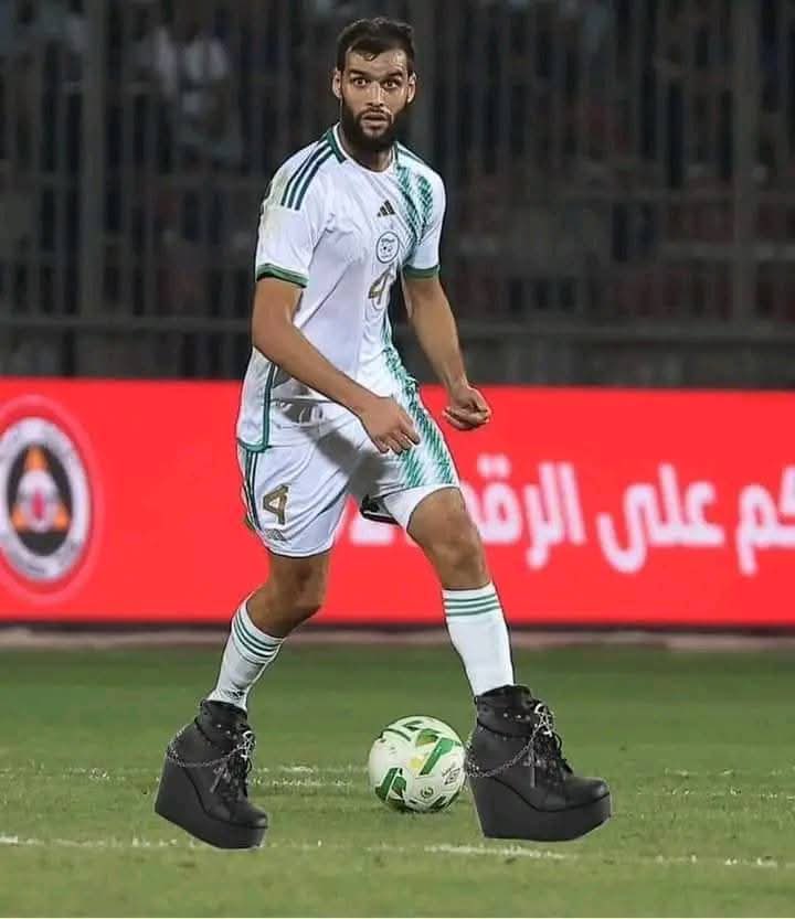 amll 🇩🇿 tweet media