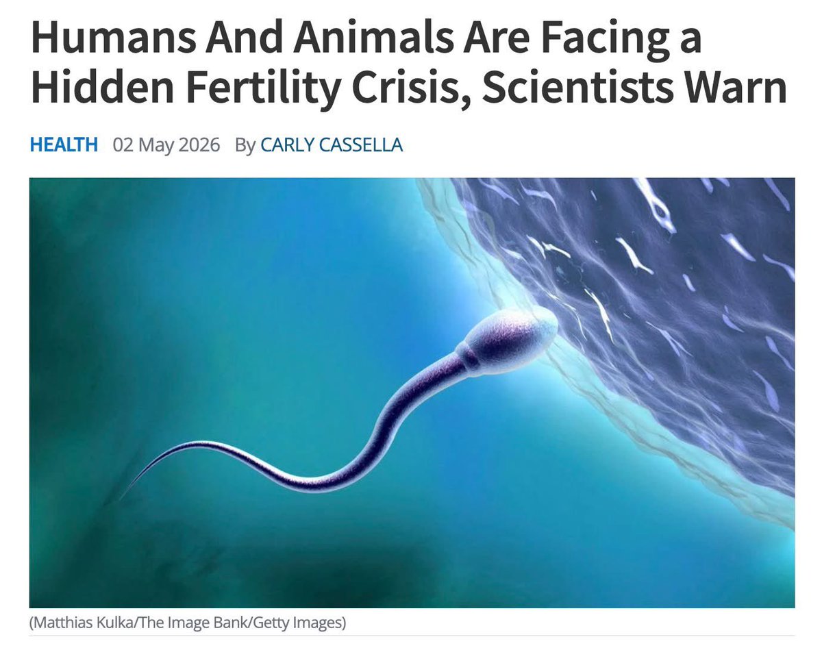 nontoxcom's tweet photo. Researchers are now warning that pesticides, pollutants, plastics, and forever chemicals may be contributing to a 'silent' fertility crisis. https://t.co/Pm0XPFXEZr