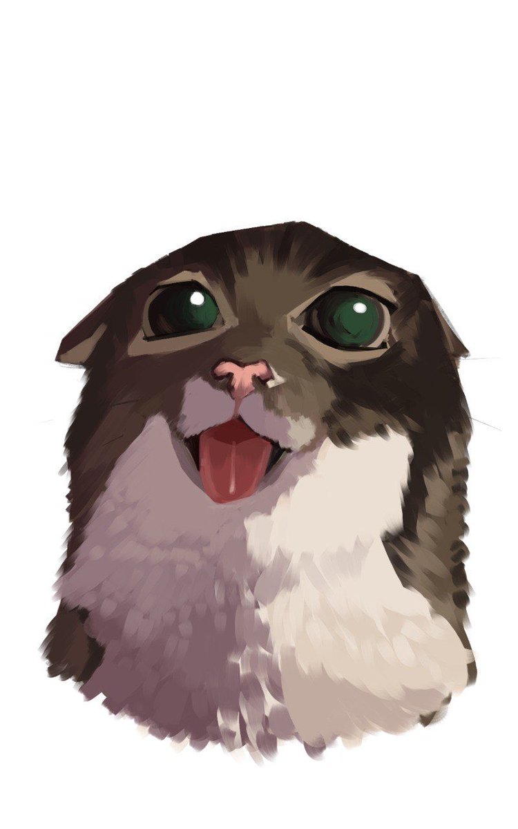 rinzzart's tweet photo. #cat #cutecat #cute https://t.co/Jl9vcTgnb4