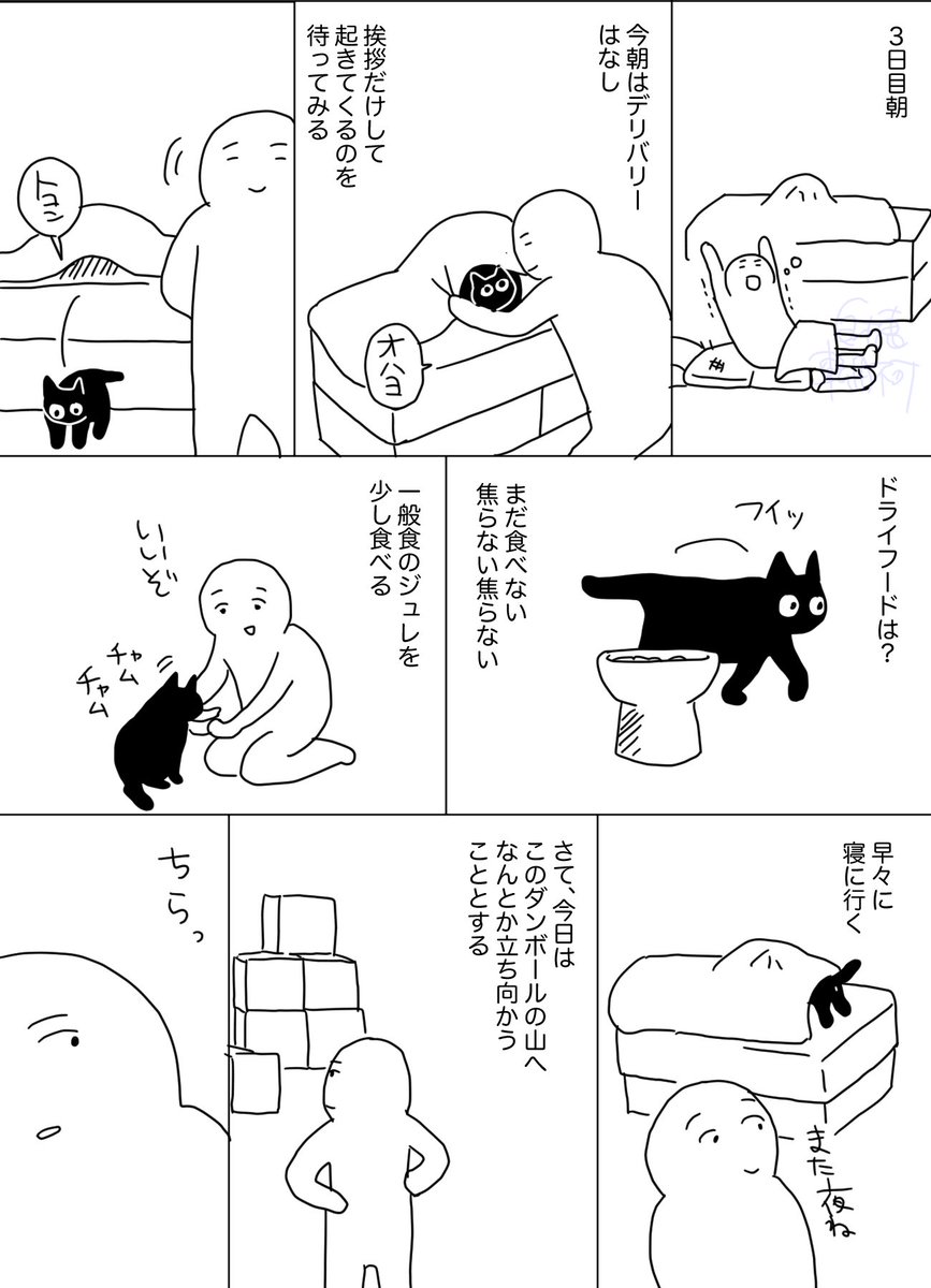 猫引越し烈伝㉑ #日記