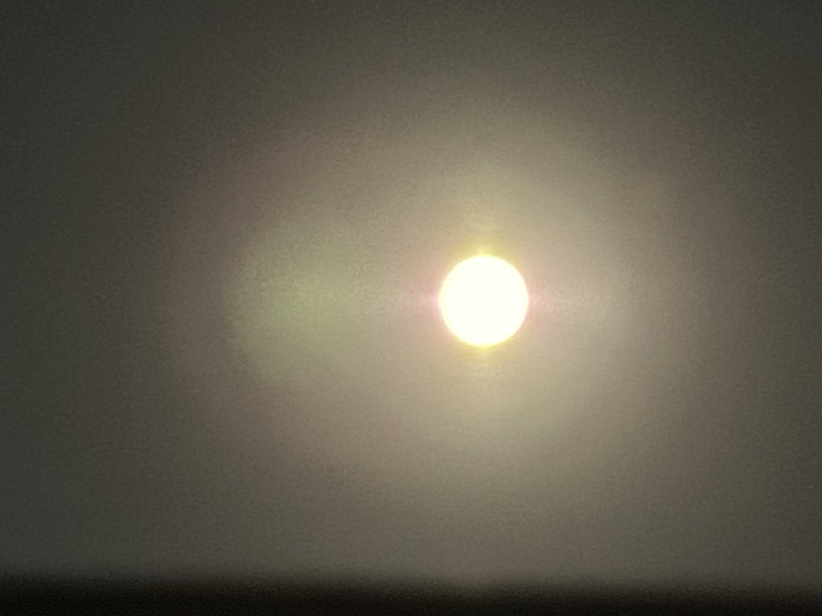 SasakiRun's tweet photo. 5月31日
今夜の月はブルームーンなんだって！
何かお願い事をしてベッドに入りましょう！
私もしました。 https://t.co/YxMBBumDgY