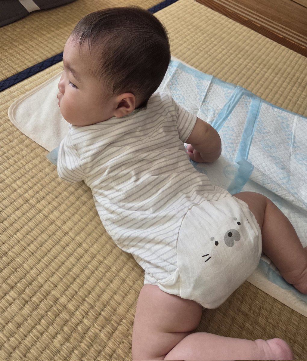 Frost_crystals's tweet photo. ハーフバースデーにちょっといい服を買ってあげたのです
おしりがかわいいです https://t.co/Ujqi5VQqY5